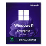 Windows 11 Enterprise IoT LTSC 2024 1 Device Activation